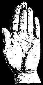 Большой палец