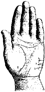 Измерение руки (хирометрия)