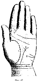 Измерение руки (хирометрия)