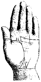 Измерение руки (хирометрия)