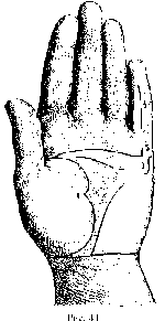 Измерение руки (хирометрия)