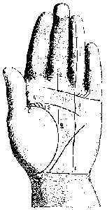 Измерение руки (хирометрия)