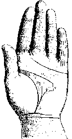 Измерение руки (хирометрия)