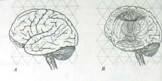 ������������� ���� ���������.