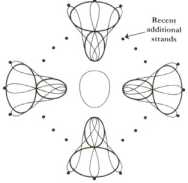 �������� �����