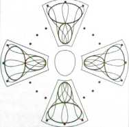 �������� �����