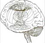 �������������� �����