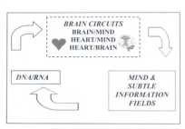 ������ � �����