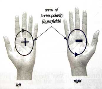 ������������ �������