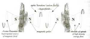 �������������� ��������������