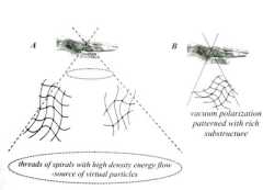 ��������, ��������� � ������� ���������