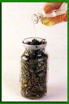 � ��������� ��������� ���������� ������ 