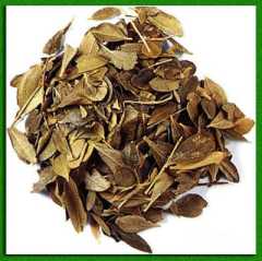 �� ������ ������ ���������� �������� 