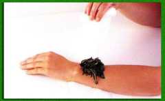 �������� ��������� �������� ��� ��, 