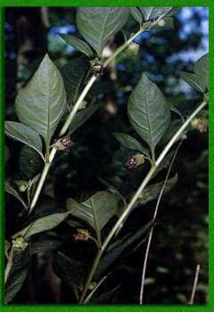 ���� � ���