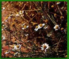 ���� � ���