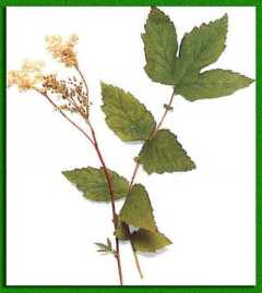 ���������� �����������