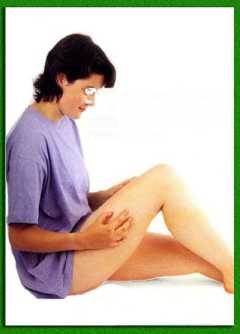 ����������������� ��������