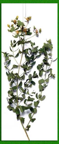 ��������� �� �����