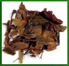 �������� ����