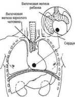 ������� � ���������� ��������