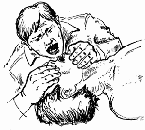 Принципы оказания первой доврачебной помощи