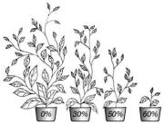 Кульский - Вода Знакомая И Загадочная