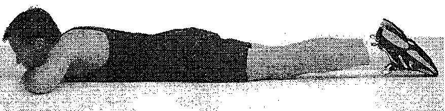 �����: ������� ��� � ������� 40 �����