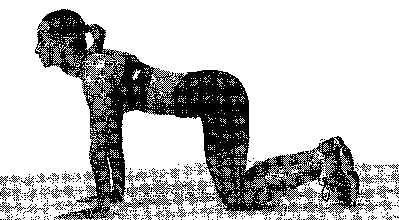 �����: ������� ��� � ������� 40 �����