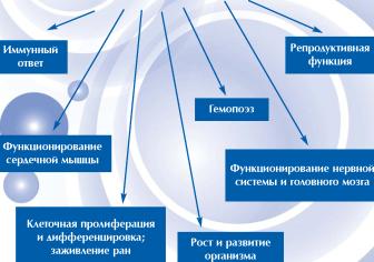 �������� �. - ��������������� � ��I ���� ��� �� � ������