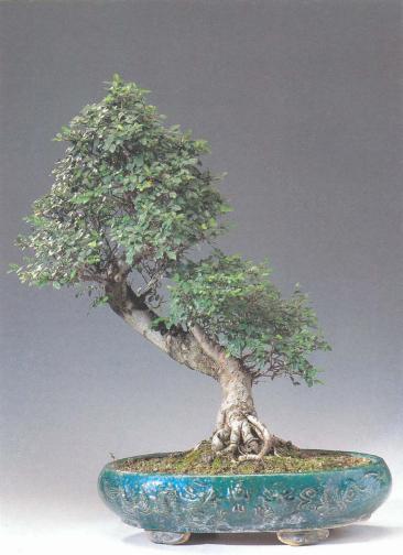 ��� - ������ � ����� ����