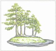 ��� - ������ � ����� ����