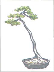 ��� - ������ � ����� ����