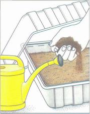 ��� - ������ � ����� ����