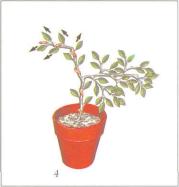 ��� - ������ � ����� ����