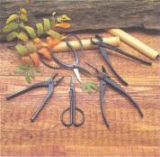 ��� - ������ � ����� ����