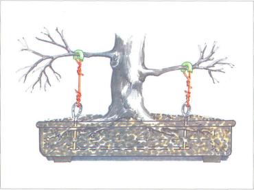 ��� - ������ � ����� ����