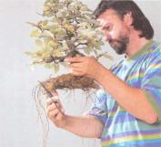 ��� - ������ � ����� ����