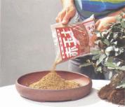 ��� - ������ � ����� ����