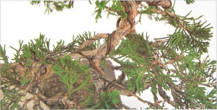 �� �� ��� - ������. ������� �����