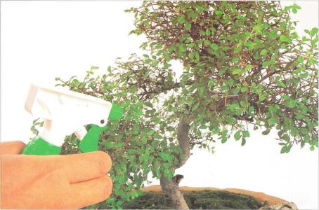 �� �� ��� - ������. ������� �����