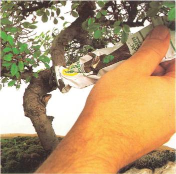 �� �� ��� - ������. ������� �����