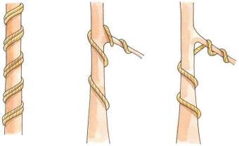 �� �� ��� - ������. ������� �����