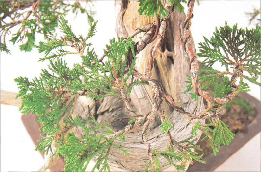 �� �� ��� - ������. ������� �����