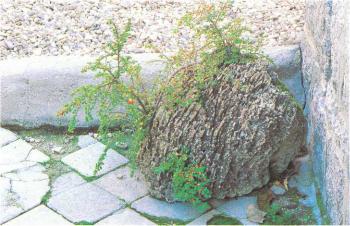 �� �� ��� - ������. ������� �����