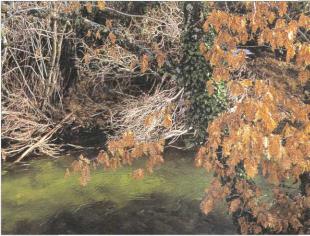 �� �� ��� - ������. ������� �����