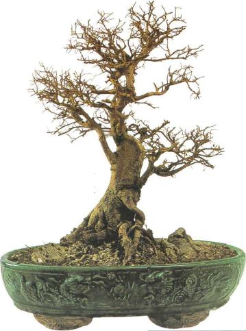 �� �� ��� - ������. ������� �����