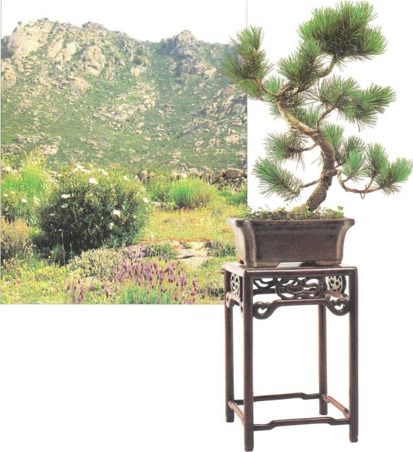 �� �� ��� - ������. ������� �����