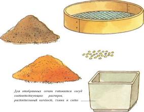 �� �� ��� - ������. ������� �����