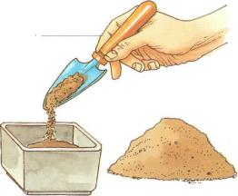 �� �� ��� - ������. ������� �����